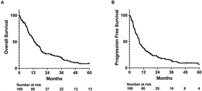 Socioeconomic and demographic determinants of radiation treatment and outcomes in glioblastoma patients